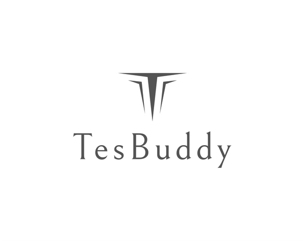TesBuddy - Tesla Accessories